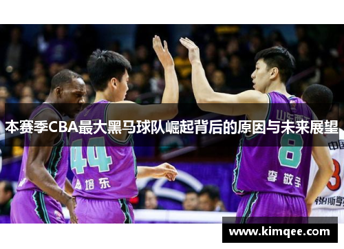 本赛季CBA最大黑马球队崛起背后的原因与未来展望