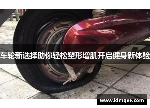 车轮新选择助你轻松塑形增肌开启健身新体验